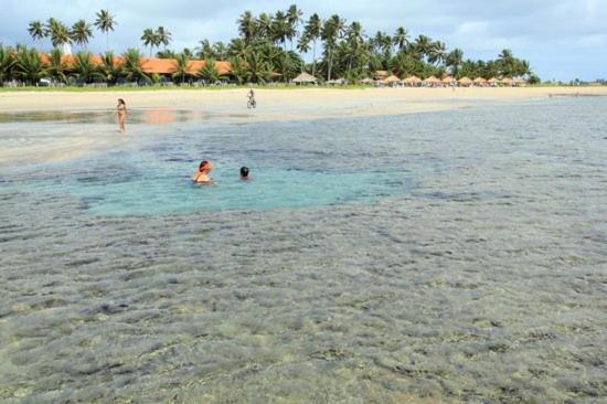 Casa Em Serrambi Com Piscina E Terraco Amplo Villa Porto de Galinhas Ngoại thất bức ảnh
